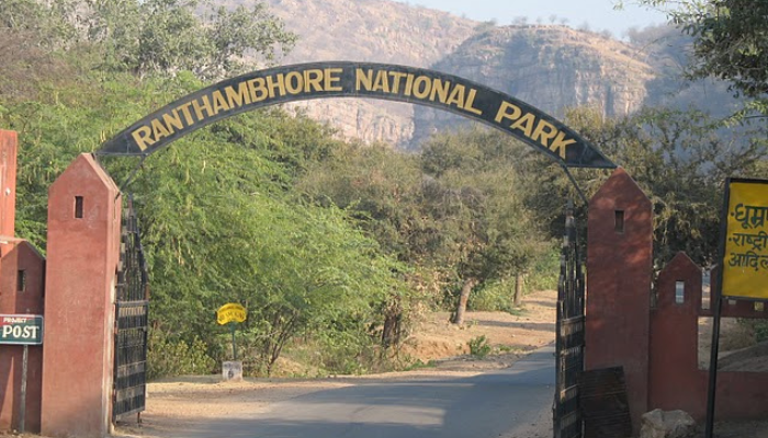 Ranthambore National park, Rajasthan best national parks in India