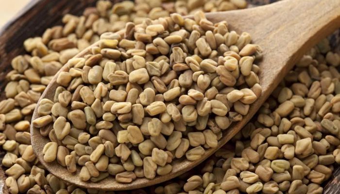 Fenugreek Seeds- Indian Spices