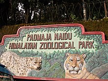 Padmaja Naidu Himalayan Zoological Park, Darjeeling