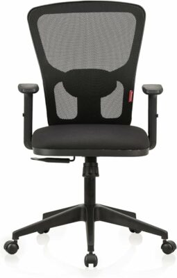 Featherlite Astro Mesh Home & Office Ergonomic Chair