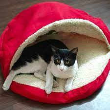 Lulala Cozy Pet Beds for Cats