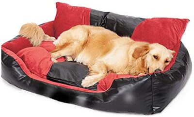 Petslover Ultra Soft Export Quality Sofa Bed
