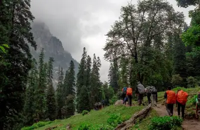 Trekking in Shimla Pine Forests